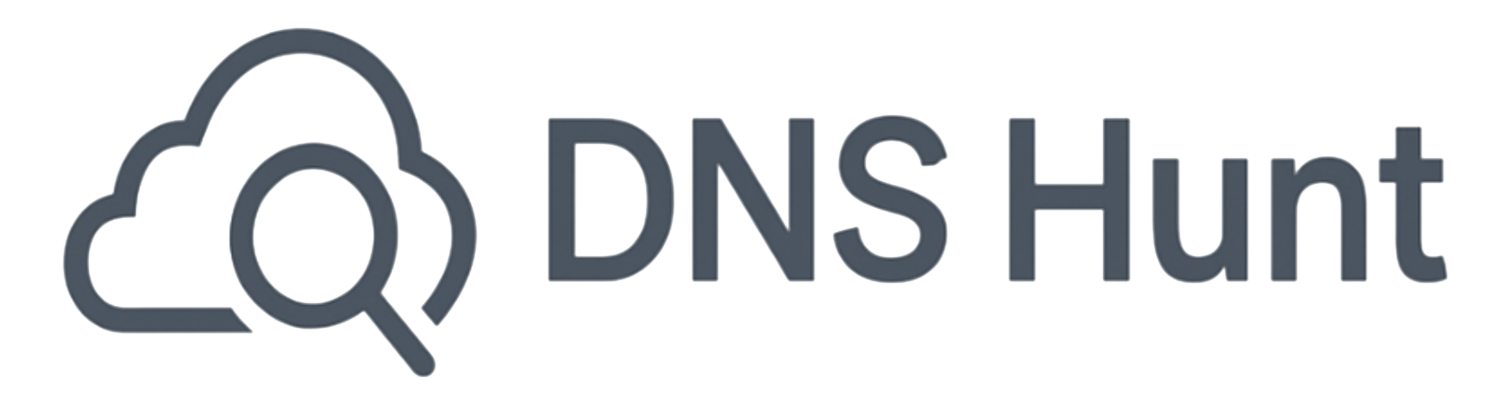 DNS Hunt Logo